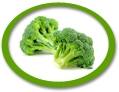 Broccoli Juice Concentrate USA