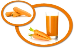Carrot Juice Concentrate USA
