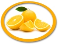 Orange Juice Concentrate USA